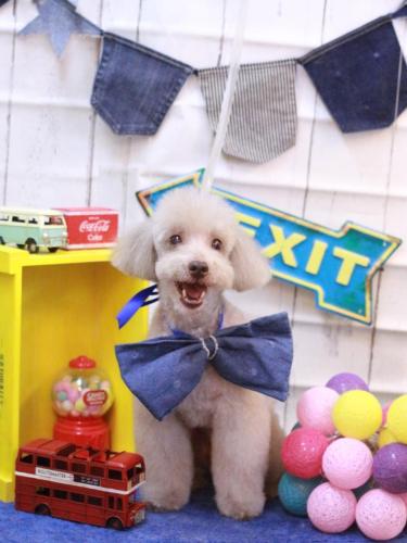 20230428ロンくん